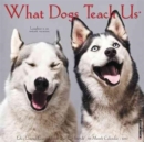 Image for What Dogs Teach Us 2017 Wall Calendar