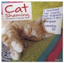 Image for Cat Shaming 2017 Wall Calendar