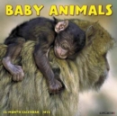 Image for Baby Animals 2018 Wall Calendar