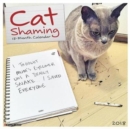 Image for Cat Shaming 2018 Wall Calendar
