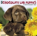 Image for Just Chocolate Lab Puppies 2018 Wall Calendar (Dog Breed Calendar)