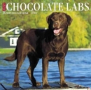 Image for Just Chocolate Labs 2018 Wall Calendar (Dog Breed Calendar)