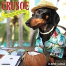 Image for Crusoe the Celebrity Dachshund 2018 Wall Calendar (Dog Breed Calendar)