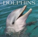 Image for Dolphins 2018 Wall Calendar