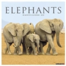 Image for Elephants 2018 Wall Calendar