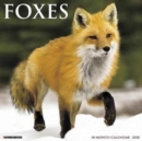 Image for Foxes 2018 Wall Calendar