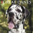 Image for Just Great Danes 2018 Wall Calendar (Dog Breed Calendar)