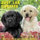 Image for Just Lab Puppies 2018 Wall Calendar (Dog Breed Calendar)