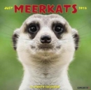 Image for Meercats 2018 Wall Calendar