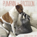 Image for Pumpkin the Raccoon 2018 Wall Calendar