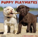 Image for Puppy Playmates 2018 Wall Calendar
