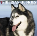 Image for Just Siberian Huskies 2018 Wall Calendar (Dog Breed Calendar)