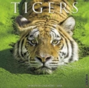 Image for Tigers 2018 Wall Calendar