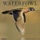 Image for Waterfowl 2018 Wall Calendar