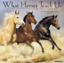 Image for What Horses Teach Us 2018 Wall Calendar