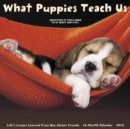 Image for What Puppies Teach Us 2018 Wall Calendar