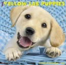 Image for Just Yellow Lab Puppies 2018 Wall Calendar (Dog Breed Calendar)