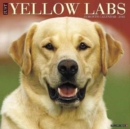 Image for Just Yellow Labs 2018 Wall Calendar (Dog Breed Calendar)
