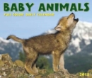 Image for Baby Animals 2018 Box Calendar