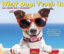 Image for What Dogs Teach Us 2018 Box Calendar