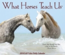 Image for What Horses Teach Us 2018 Box Calendar
