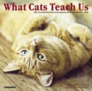 Image for What Cats Teach Us 2018 Mini Wall Calendar
