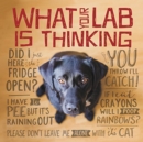 Image for What your lab is thinking