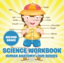 Image for Second Grade Science Workbook : Human Anatomy - Our Bodies