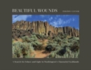 Image for Beautiful wounds  : a search for solace and light in Washington&#39;s Channeled Scablands