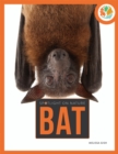 Image for Bat-spotlight