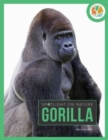 Image for Spotlight on Nature: Gorilla