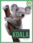 Image for Spotlight on Nature: Koala