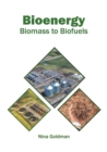 Image for Bioenergy: Biomass to Biofuels