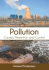 Image for Pollution: Causes, Prevention and Control