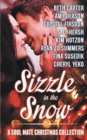 Image for Sizzle in the Snow