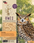 Image for IncrediBuilds: Owls Deluxe Book and Model Set