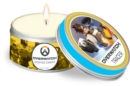 Image for Overwatch: Tracer Scented Candle : Small, Citrus : 2 oz