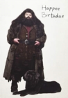Image for Harry Potter: Hagrid&#39;s Cake Pop-Up Card