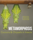 Image for Metamorphasis: Cocoons &amp; Chrysalis in Insects Biology for Kids Edition