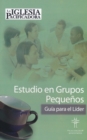 Image for Peacemaking Church Leader Guide Spanish