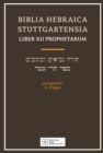 Image for Biblia Hebraica Stuttgartensia Liber Xii Prophetarium