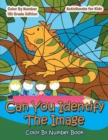 Image for Can You Identify The Image Color By Number Book