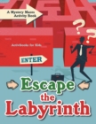 Image for Escape the Labyrinth : A Mystery Mazes Activity Book
