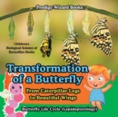 Image for Transformation of a Butterfly