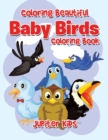 Image for Coloring Beautiful Baby Birds Coloring Book