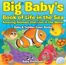Image for Big Baby&#39;s Book of Life in the Sea