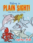 Image for Hiding in Plain Sight! Hidden Pictures Activity Book