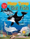 Image for Many Types of Big Fish Coloring Book