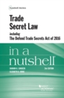 Image for Trade Secret Law including the Defend Trade Secrets Act of 2016 in a Nutshell