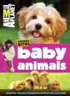 Image for Baby Animals (Animal Planet Animal Bites)